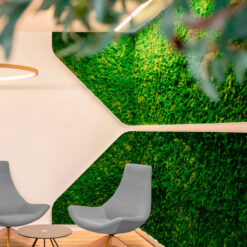 jardines-verticales-preservado-musgo-naturales