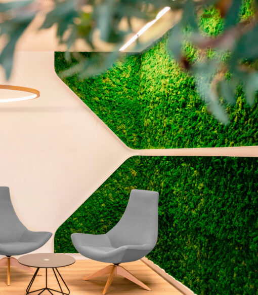 jardines-verticales-preservado-musgo-naturales