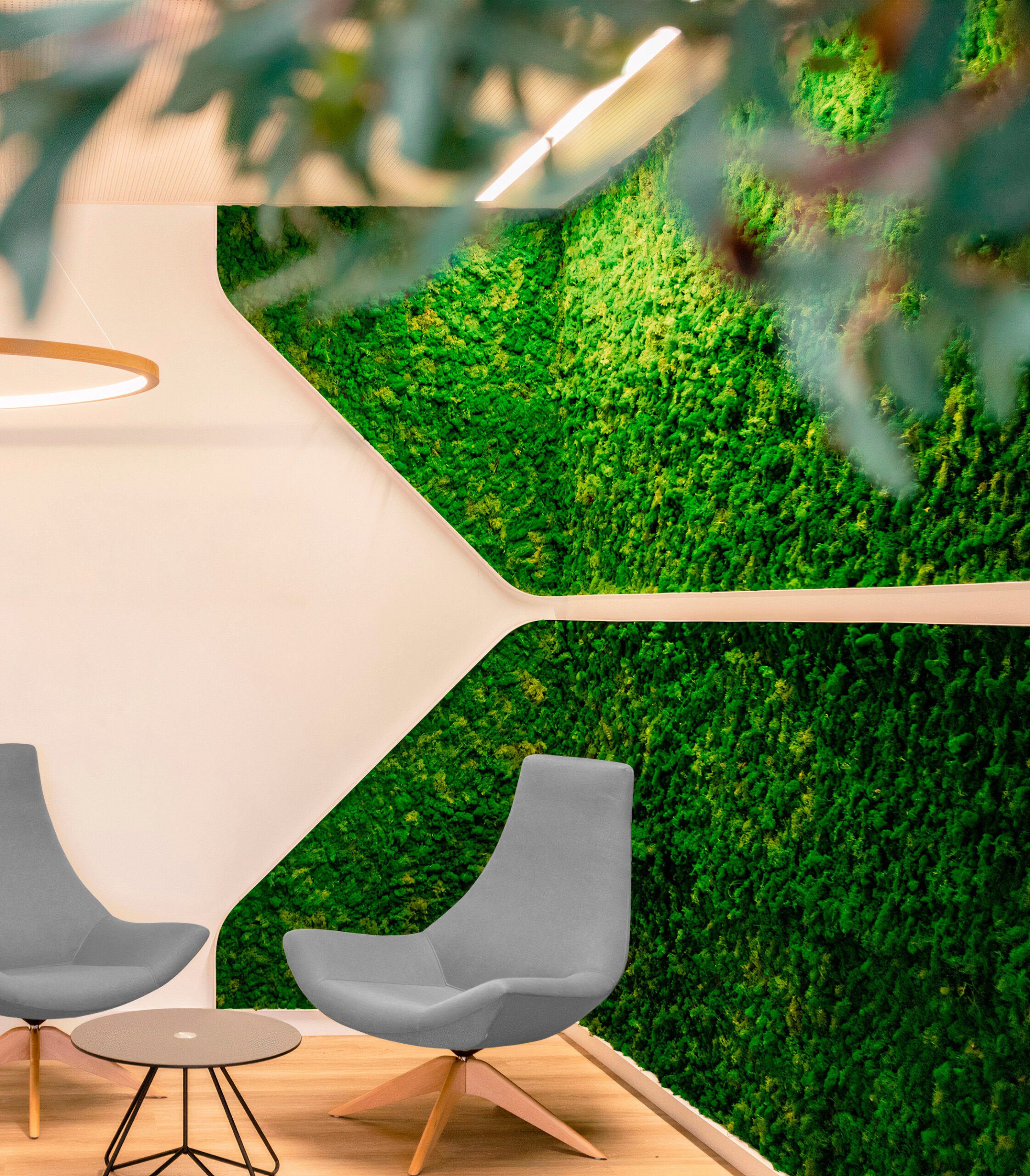 jardines-verticales-preservado-musgo-naturales