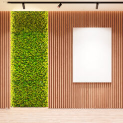 paneles-acusticos-muro-musgo-preservado-liquen-plantas