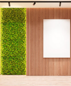paneles-acusticos-muro-musgo-preservado-liquen-plantas
