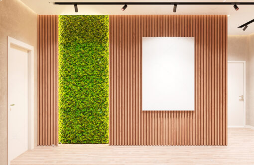 paneles-acusticos-muro-musgo-preservado-liquen-plantas