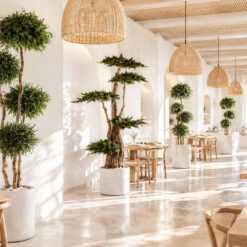 arboles-preservados-naturales-restaurantes-decomos